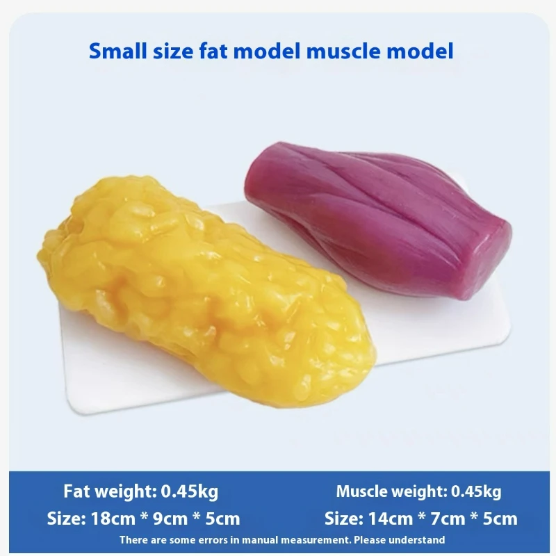 نماذج مقلدة للعضلات والدهون ال - مراجعة Nutrition Fitness Health وسعره